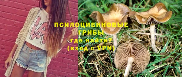 марки lsd Богданович