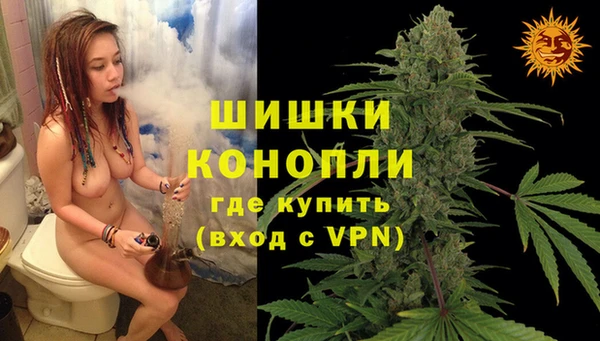 дмт Богородск