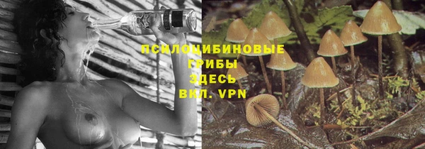 дмт Богородск